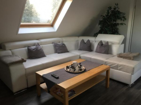 Гостиница Ferienwohnung Haagedoernchen  Неттеталь